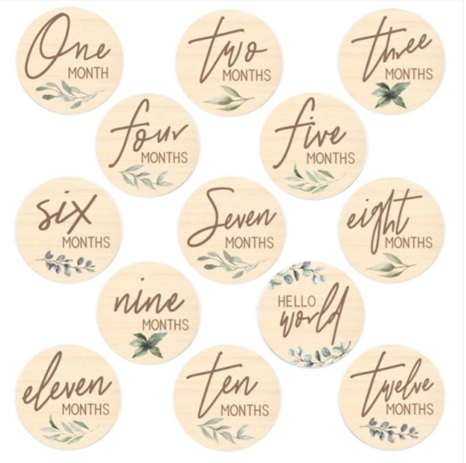 Baby Milestone Discs Months in First Year - Leaf