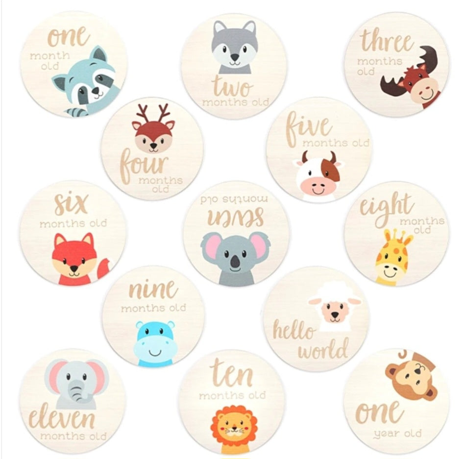 Baby Milestone Discs Animal Months First Year