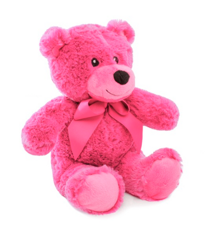 Hot Pink Teddy Bear Soft Toy