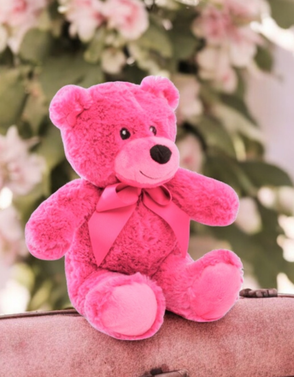 Hot Pink Teddy Bear Soft Toy
