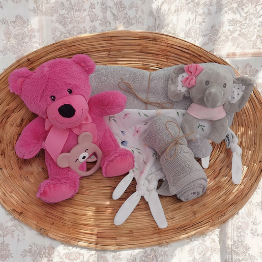 Baby Girl Hamper