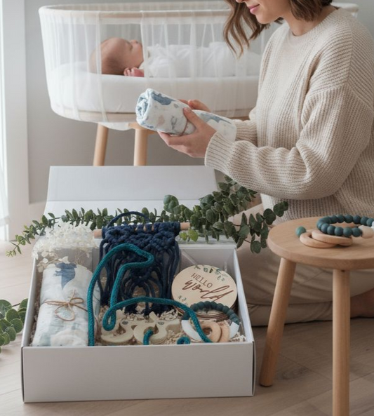 Dinosaur themed baby gift