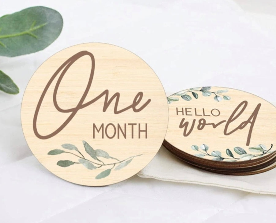Baby Milestone Discs Months in First Year - Leaf