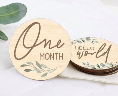 Baby Milestone Discs Months in First Year - Leaf