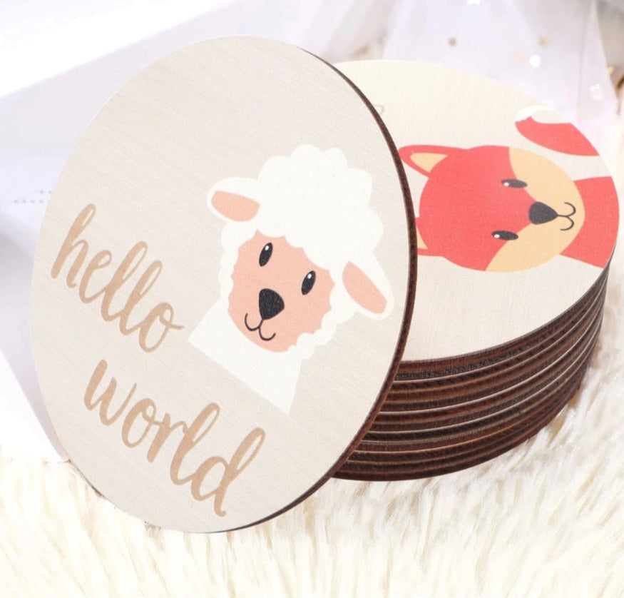 Baby Milestone Discs Animal Months First Year