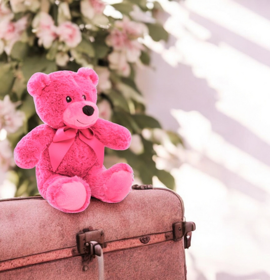 Hot Pink Teddy Bear Soft Toy